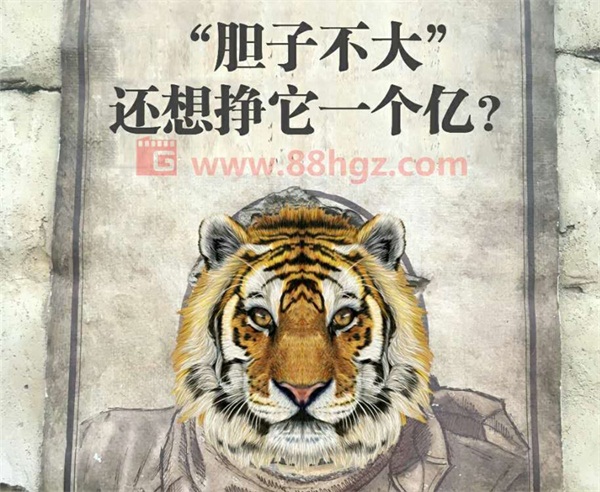 还能更高吗?与迪玛希共鸣的,是我们追随企业宣传片的信仰 还能更高吗?与迪玛希共鸣的,是我们追随企业宣传片的信仰